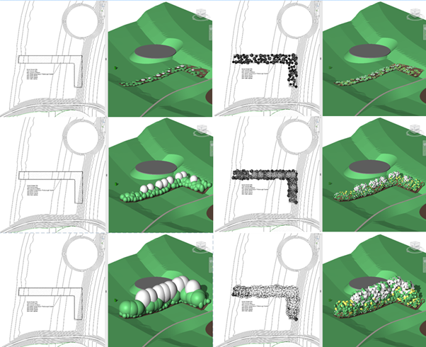 Area Planting Shrub Mix aged over time
